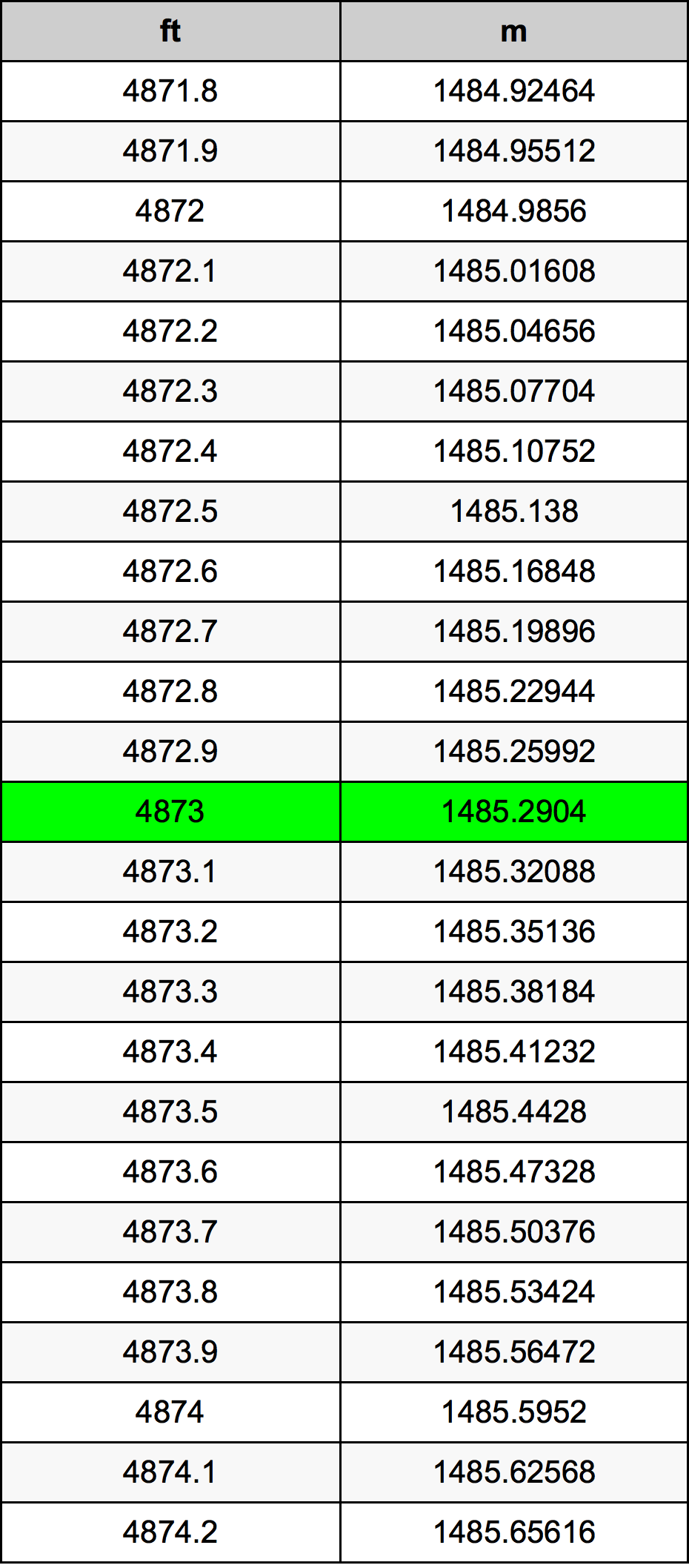 4873 Piedi konverżjoni tabella